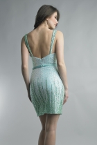 Back View