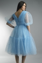 Back View