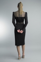 Back View