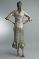 Back View