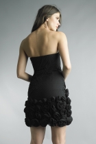 Back View