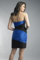 Back View