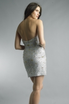 Back View