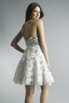 Back View