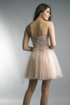 Back View