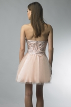 Back View