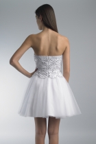 Back View
