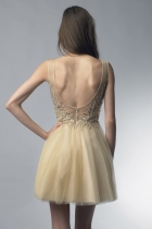 Back View