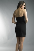 Back View