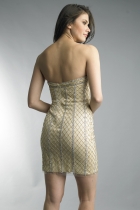 Back View