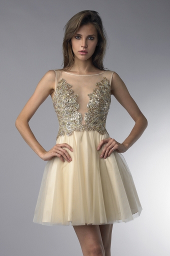 tulle skirt cocktail dress