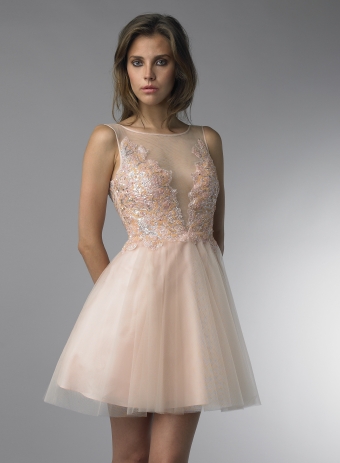 tulle skirt cocktail dress