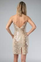 Back View