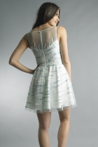 Back View