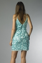Back View