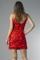 Back View