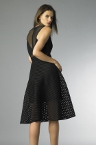 Back View