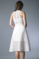 Back View