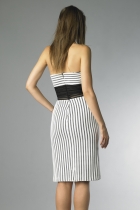 Back View