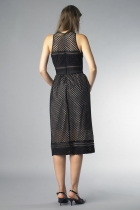Back View