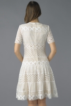 Back View
