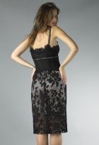 Back View