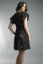 Back View
