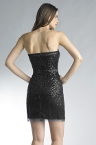 Back View