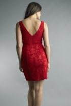 Back View