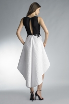 Back View