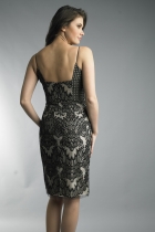 Back View