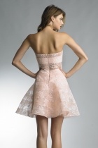 Back View