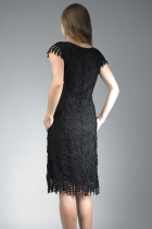 Back View