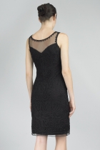 Back View