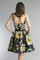 Back View