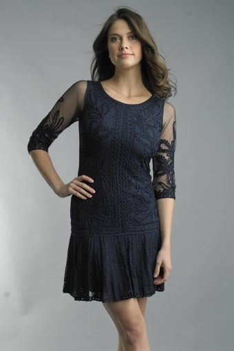 Embroidered Lace Cocktail Dress