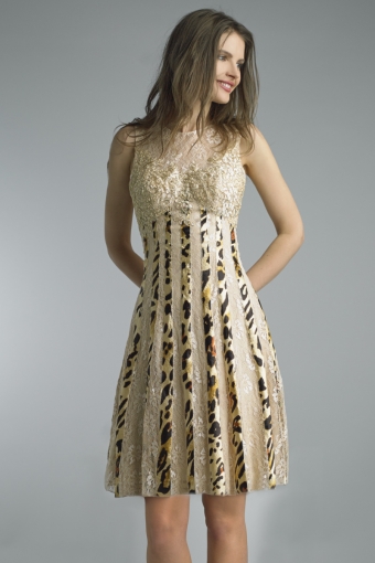Lace A-line Dress