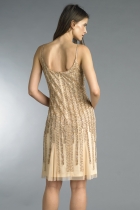 Back View