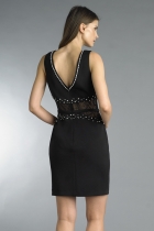 Back View