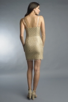 Back View
