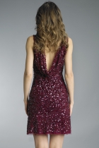 Back View