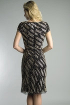 Back View