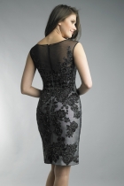 Back View