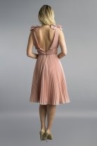 Back View