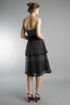 Back View
