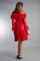 Back View