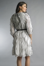Back View