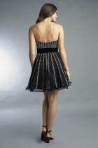 Back View