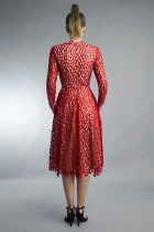 Back View