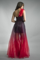 Back View